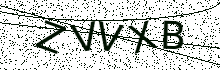 L’image captcha